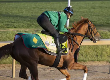 Kentucky Derby: Japan tries to add another major international victory