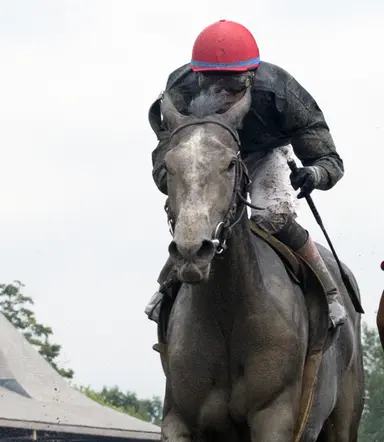 Golden Tempo's Derby win another feather in Phipps's cap