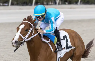 Male 3-year-old division title remains up for grabs this summer