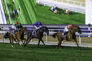 Dubai: Danon Decile caps three-win day for Japan in Sheema Classic