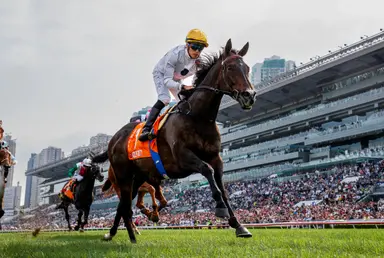 Golden Sixty returns seeking FWD Champions Mile quartet