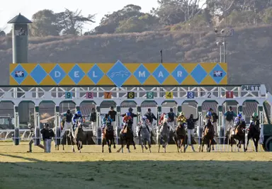 CTBA announces new breeding incentives