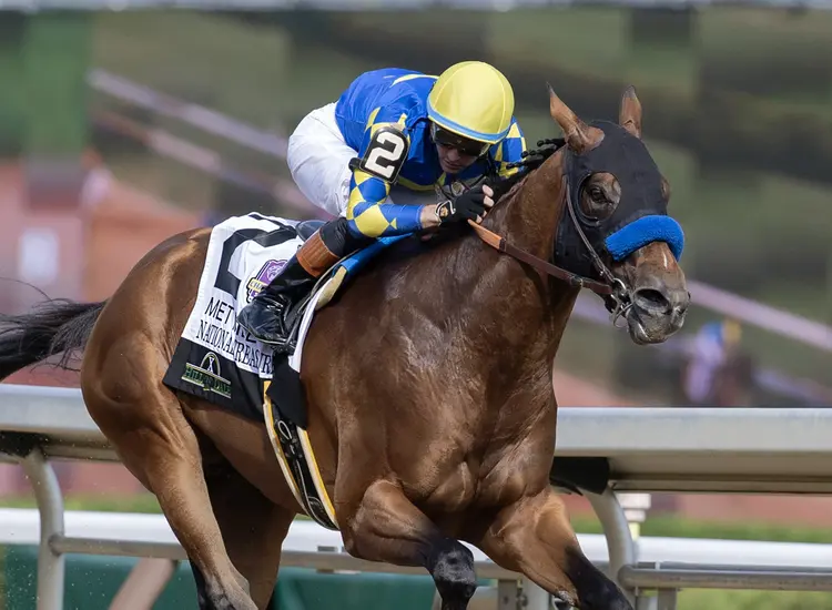 Eclipse Awards National Treasure