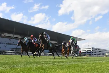 DRF's Horse Racing Playbook for Saturday, September 21, 2024