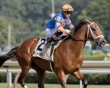 Renegade the new favorite in final Kentucky Derby Future Wager pool