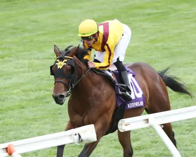 Andrew Beyer: Some turf figures just can't be made