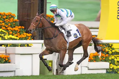 Zac Purton to reunite with Voyage Bubble in G1 Citi Hong Kong Gold Cup