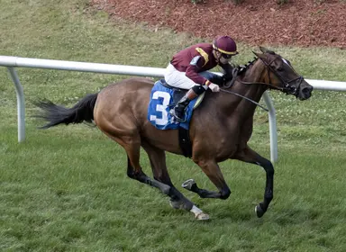 Way to Be Marie looks to repeat in Benson for new connections