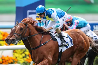In-form Lui saddles trio to challenge Ka Ying Rising in G1 Queen’s Silver Jubilee Cup