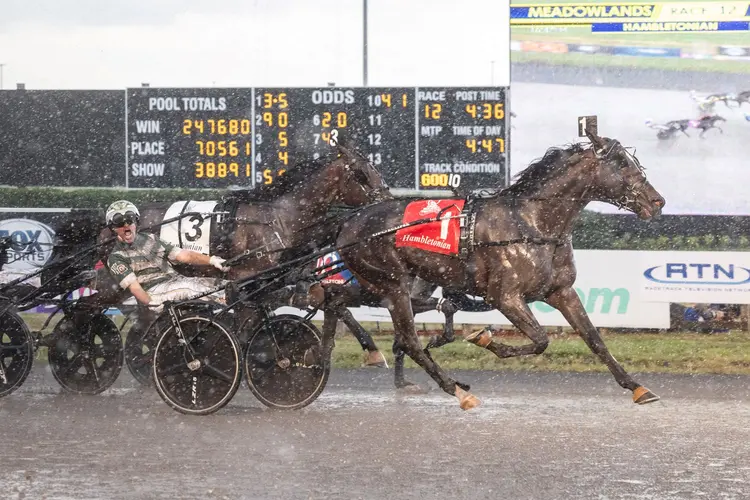 Race Action Hambo.png