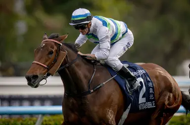 Triple Crown gets underway as greats Voyage Bubble and Romantic Warrior meet again at Sha Tin