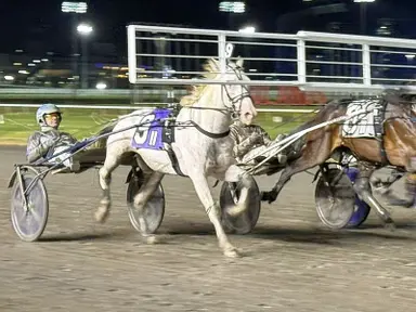 Plainridge Park: Four Hambo hopefuls entered in the Bunker Hill Trot