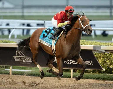 Kentucky Derby 2025: Tappan Street, Sovereignty, Neoequos breeze easy half-miles