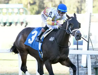 Concrete Glory notches first stakes with Pelican