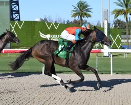 Herrera caps big day with stakes wins aboard Chicken Dance, Rolando