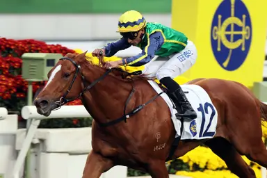 Pierre Ng holds faith in temperament and tempo for Mugen