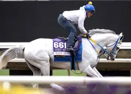 White Abarrio sharper in work as Pegasus World Cup nears