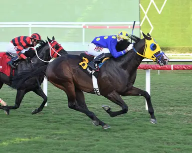Okiro goes for repeat against familiar cast