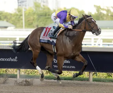 Grand Job poised to take advantage of lack of speed in Bed o' Roses