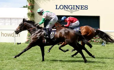 Khaadem’s global revival continues with LONGINES Hong Kong Sprint bid