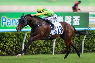 Tomodachi Kokoroe aims to extend rise in BOCHK Private Banking Jockey Club Sprint