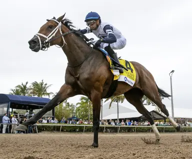 Kentucky Oaks: Five G shares connections with sire Vekoma