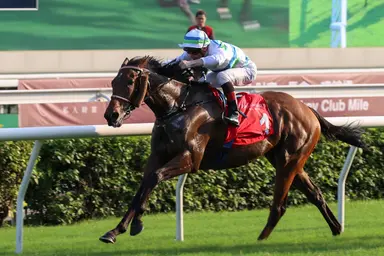Voyage Bubble primed for LONGINES Hong Kong Mile mission