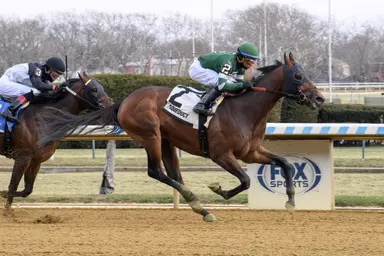 Iron Honor leads nine-horse field for Gotham