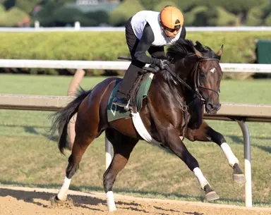 Risk Tolerance tipped his hand in last start