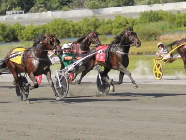 Plainridge Park: Purse hike for Spirit of Massachusetts Trot triggered spike in nominations