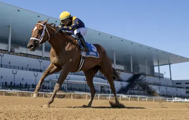 Paradise notches commanding Busher victory