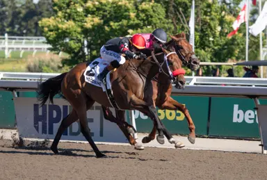 Sid Attard and Runaway Again at their best for the Seagram Cup