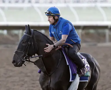 Dubai: Rebel's Romance headlines Super Saturday in 8-year-old debut