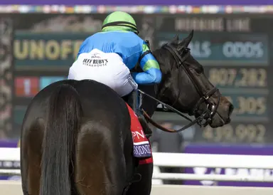 Goodnight Olive to stay with Brown after $6 million purchase