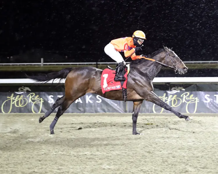 HONOR MARIE - The Dust Commander 35th Running - 02-14-26 - R09 - Turfway Park - Finish 01.jpg
