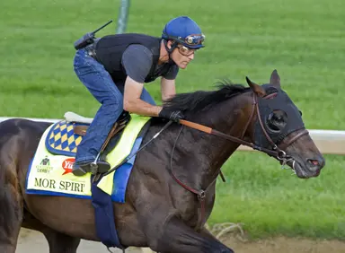 Breakway Farm well positioned for new stallions
