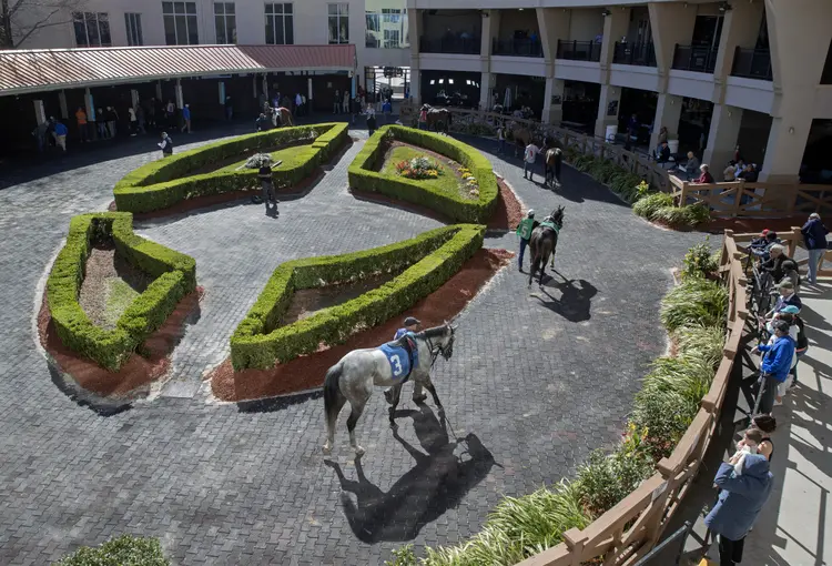 Fair Grounds scenic03.3-20-25.BL_.jpg