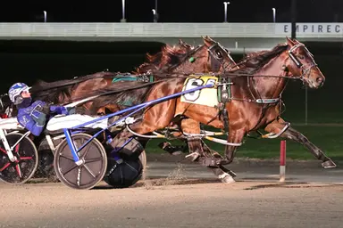 Harness: Captain Albano leads 'Team Daley' into 2026 stakes wars