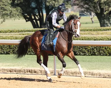 Kentucky Derby 2025: Cox still high on Patch Adams