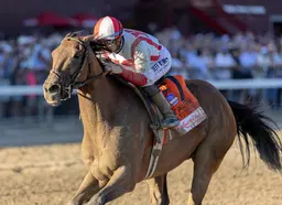 Ways and Means shows her affinity for Saratoga again in Ballerina