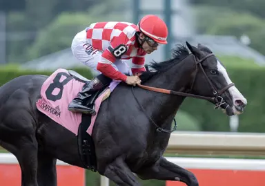 Stress Relief gives trainer LaRose first graded triumph with Adirondack