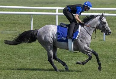 Pair of Euros invade for rematch in Belmont Derby