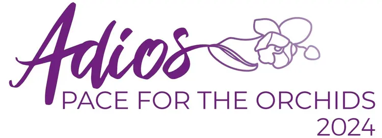 adios 2024 logo.jpg