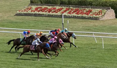 DRF's Horse Racing Playbook for Friday, Aug. 28, 2026