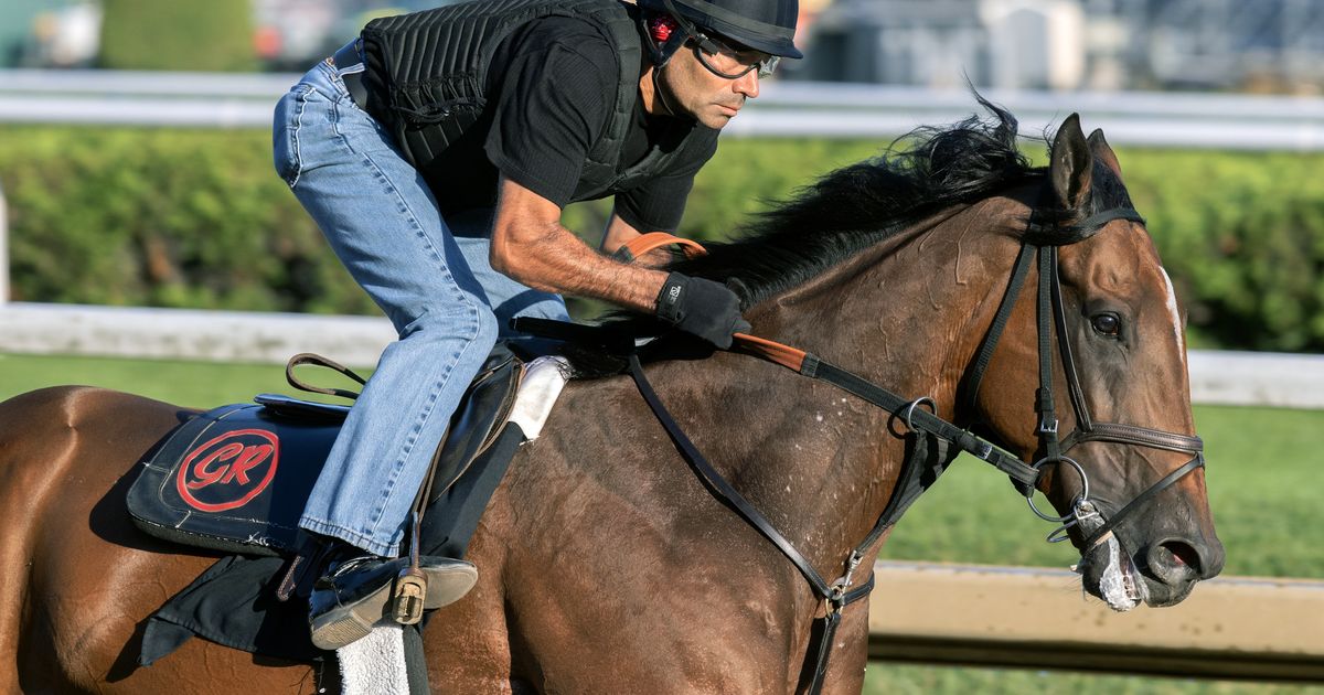 Phileas Fogg to skip Whitney as Rodriguez audibles to Jockey Club Gold Cup