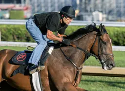 Phileas Fogg to skip Whitney as Rodriguez audibles to Jockey Club Gold Cup