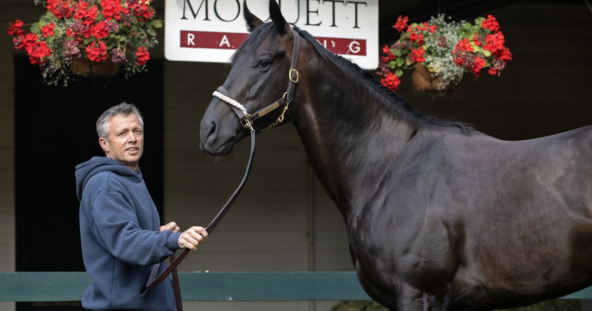 Hymn targeting Phoenix Stakes, Breeders’ Cup Sprint