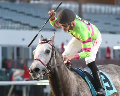 In wake of tragedies, jockey mental health becomes a focus