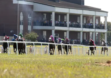 Handle up nearly 5 percent at Kentucky Downs meet