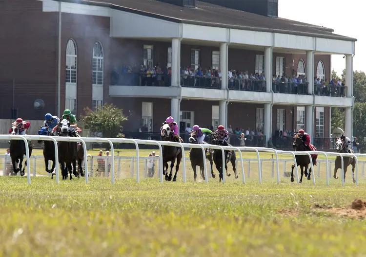 Turf racing at Kentucky Downs